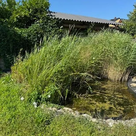 Moderne Mit Garten Und Terrasse
