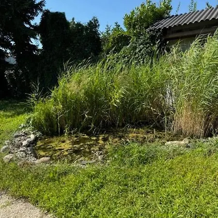 Moderne Mit Garten Und Terrasse Apartment Hockenheim